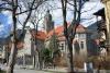 Photo: Piet Bron. Datation: 2 March 2024.